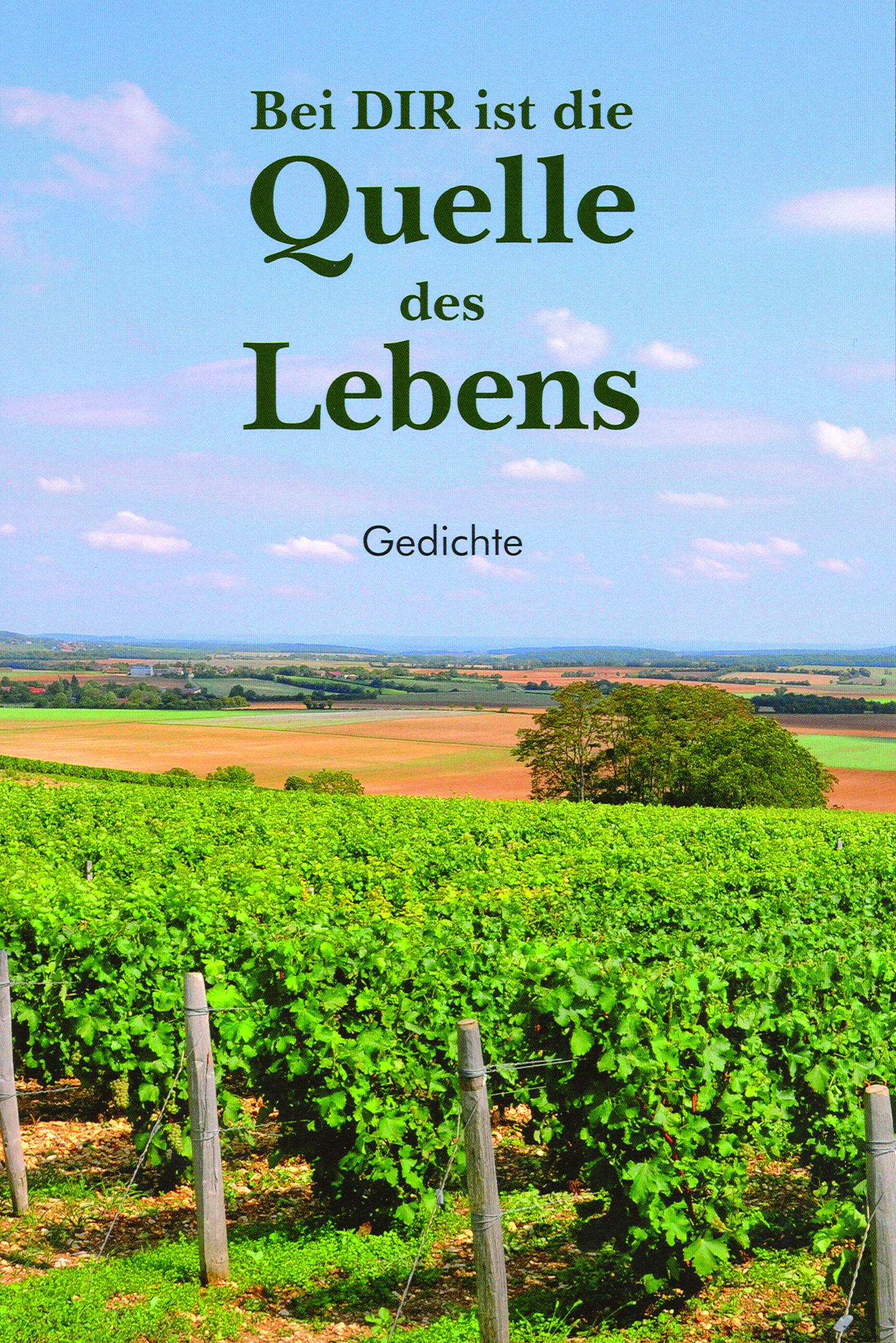 Bei DIR ist die Quelle des Lebens