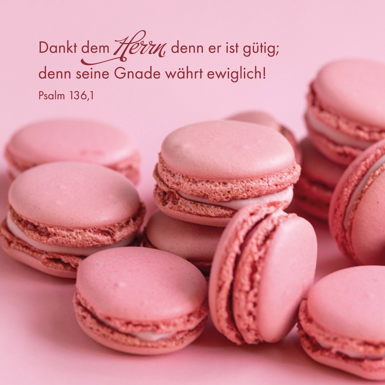 Quadratische Postkarte - Macarons