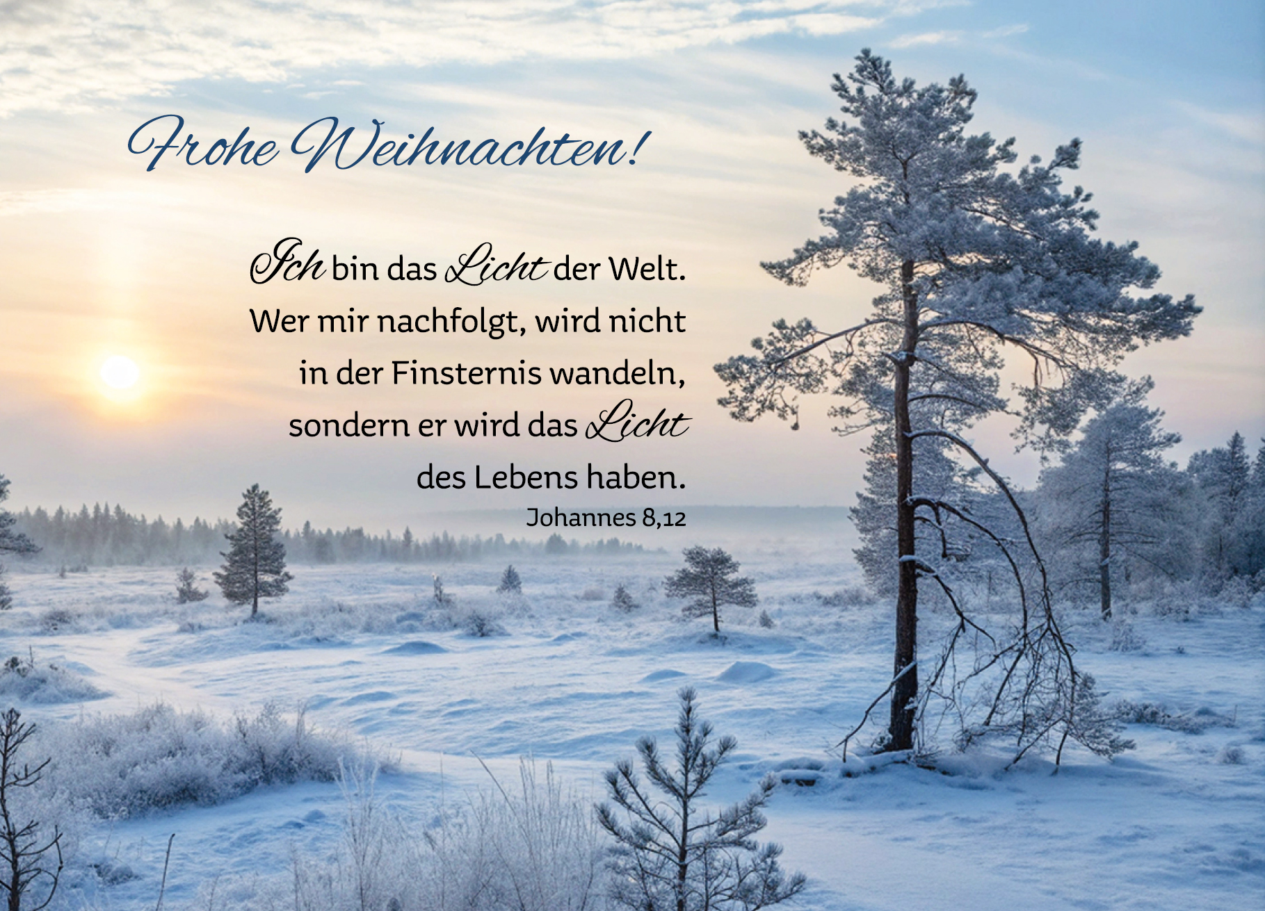 Postkarte – Frohe Weihnachten!