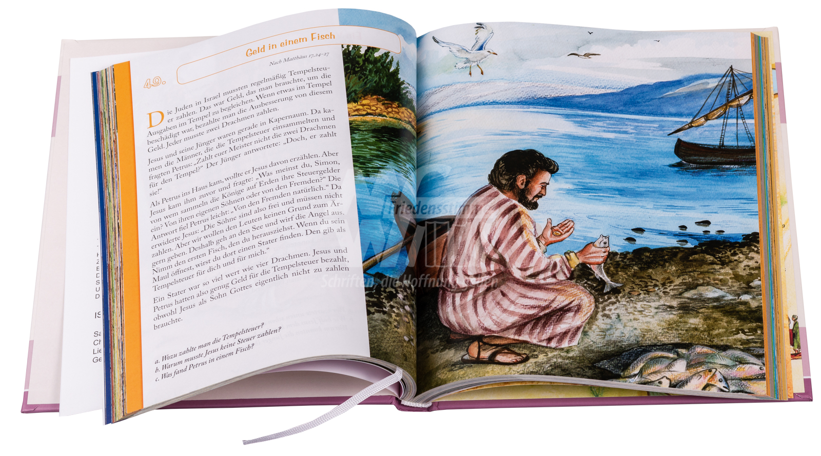 Entdecke die Bibel - Neues Testament (Band 2)