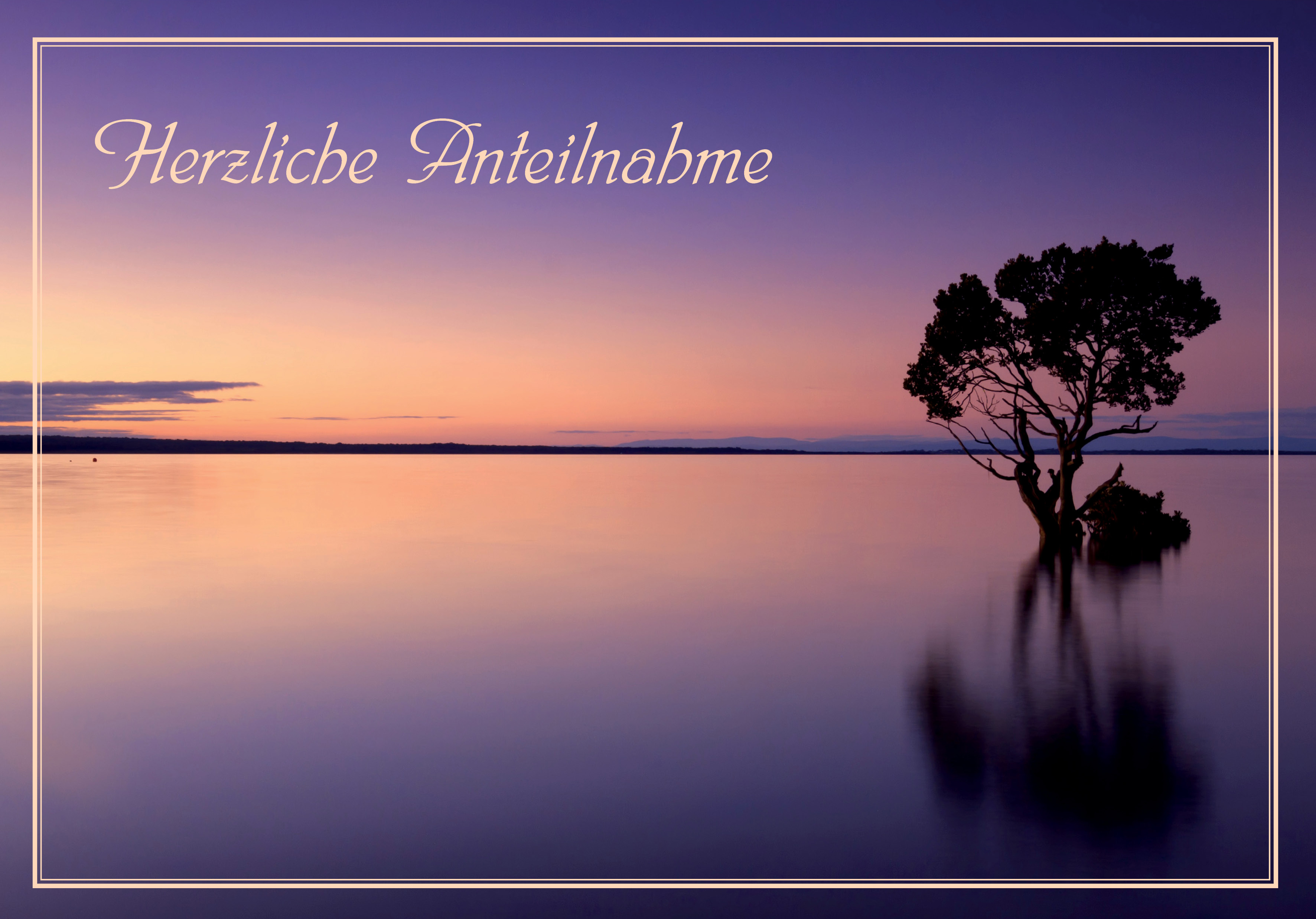 Faltkarte - Herzliche Anteilnahme