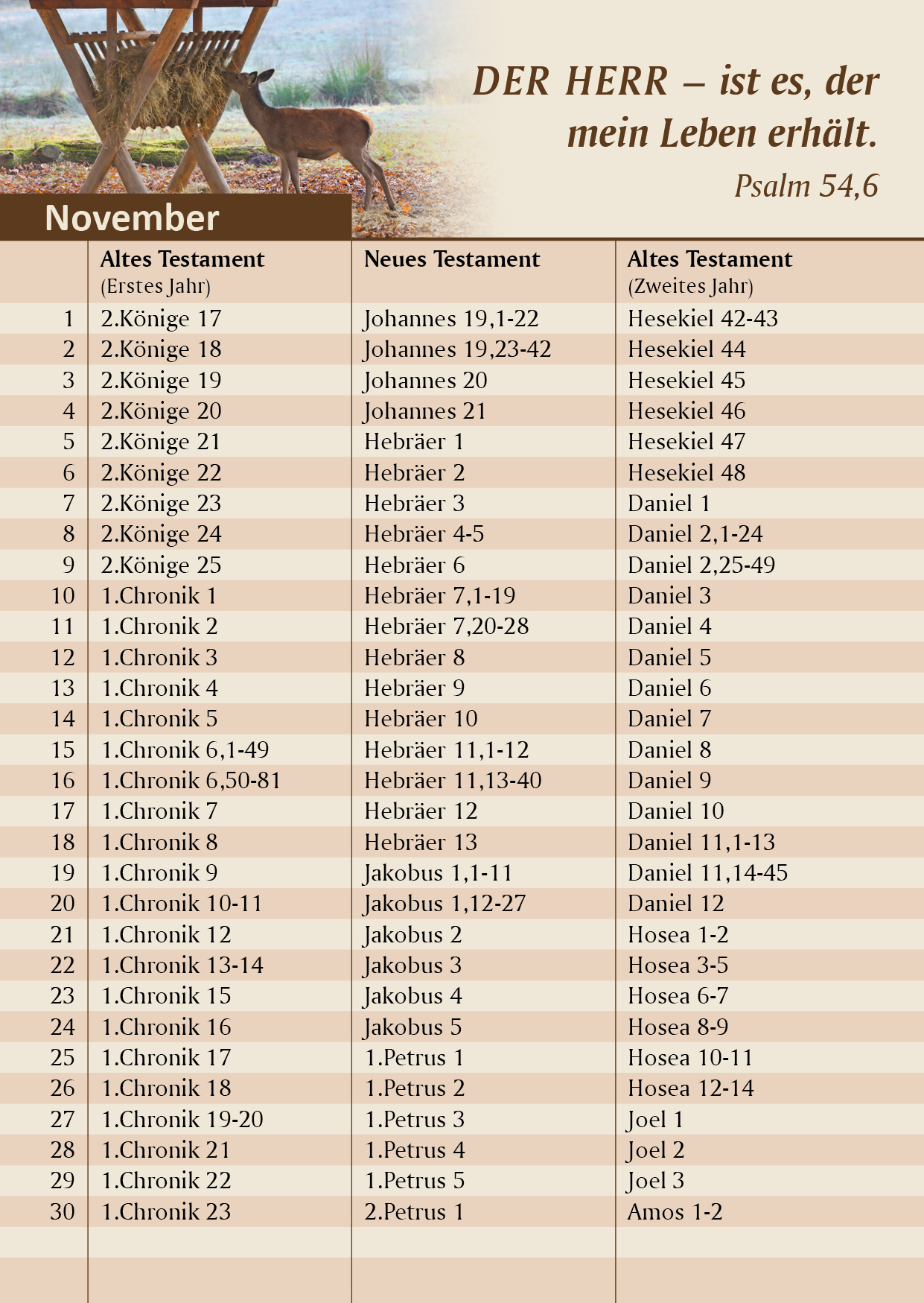 Bibelleseplan_Musterseite-Nov Bibelleseplan