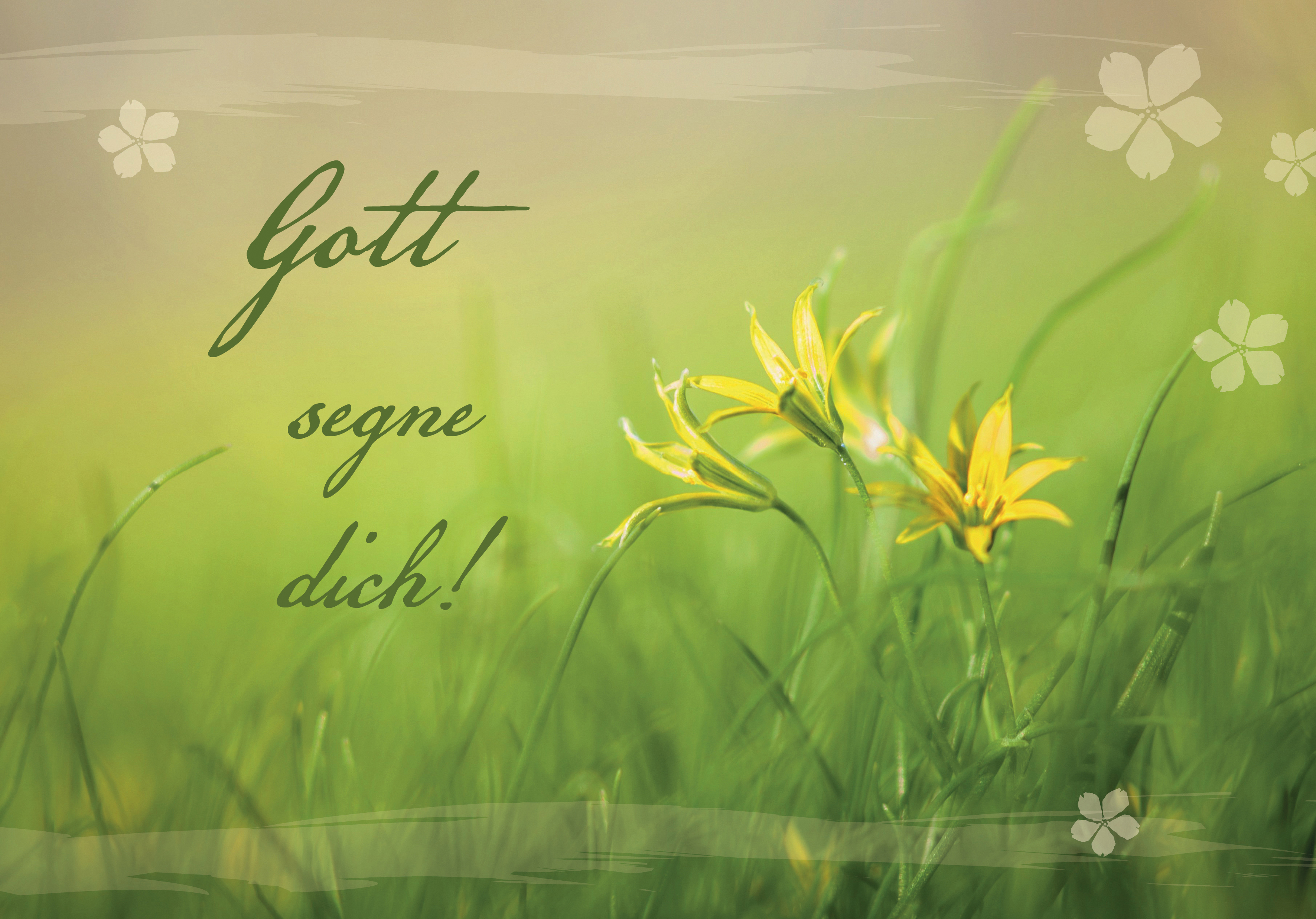 Faltkarte - Gott segne dich!