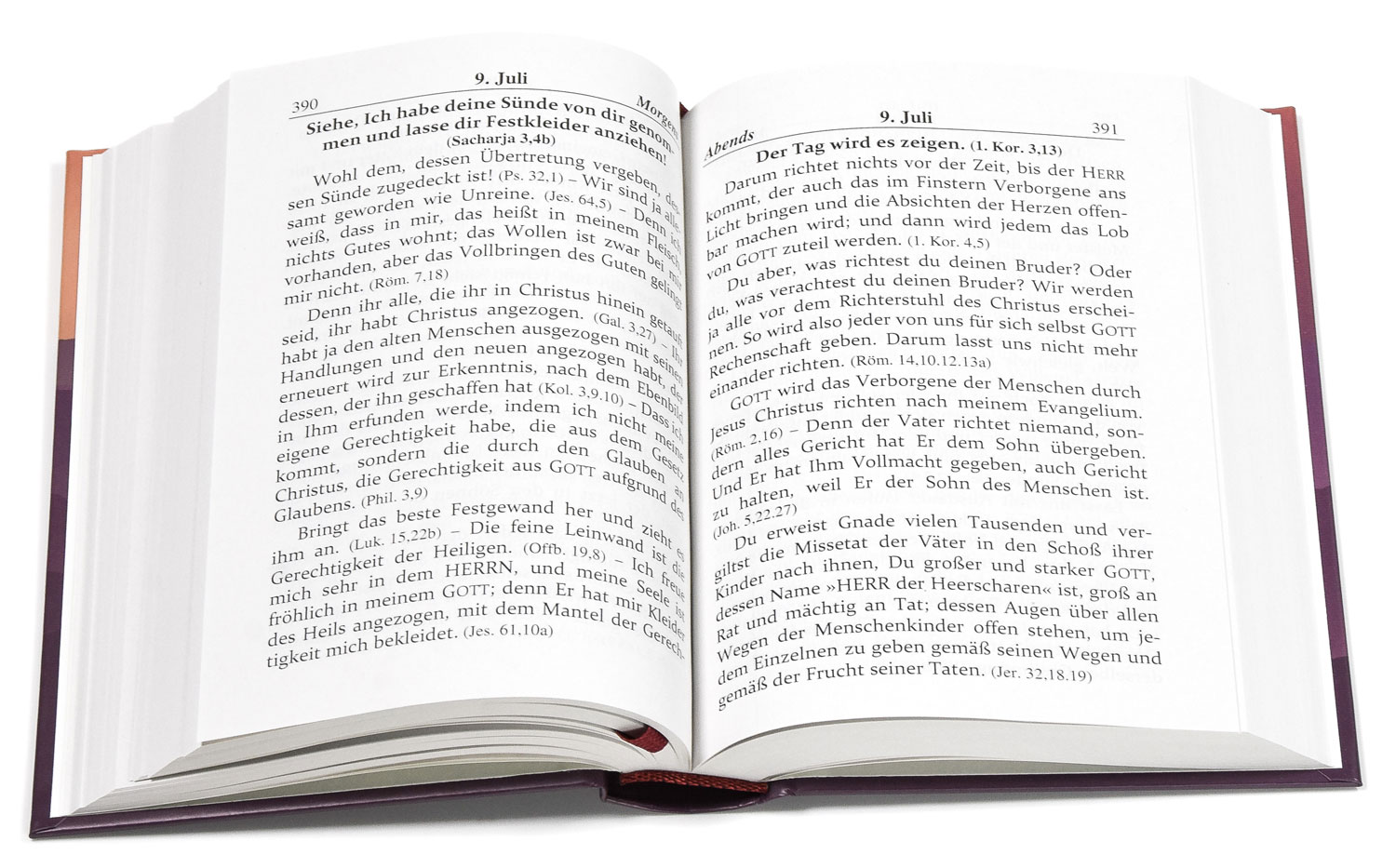 184905_3 Andachtsbuch - Licht für den Tag
