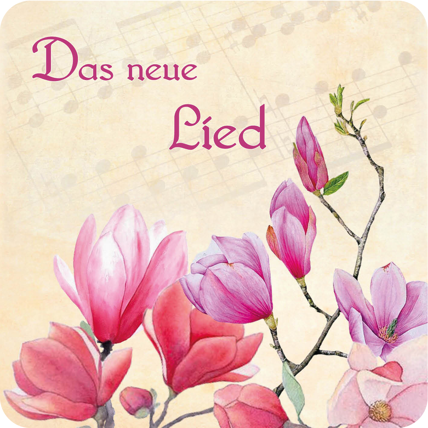DOWNLOAD: Das neue Lied DOWNLOAD: Das neue Lied