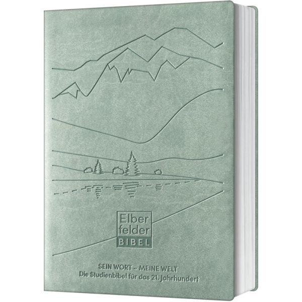 Studienbibel -  Sein Wort - meine Welt ( Kunstleder)