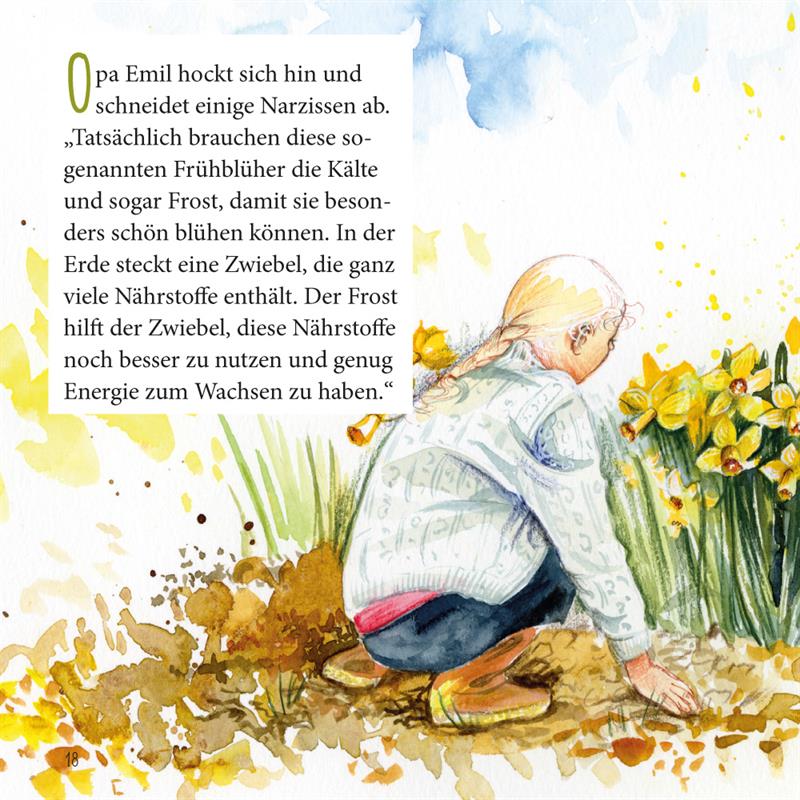 Die Narzisse (Heft 5)