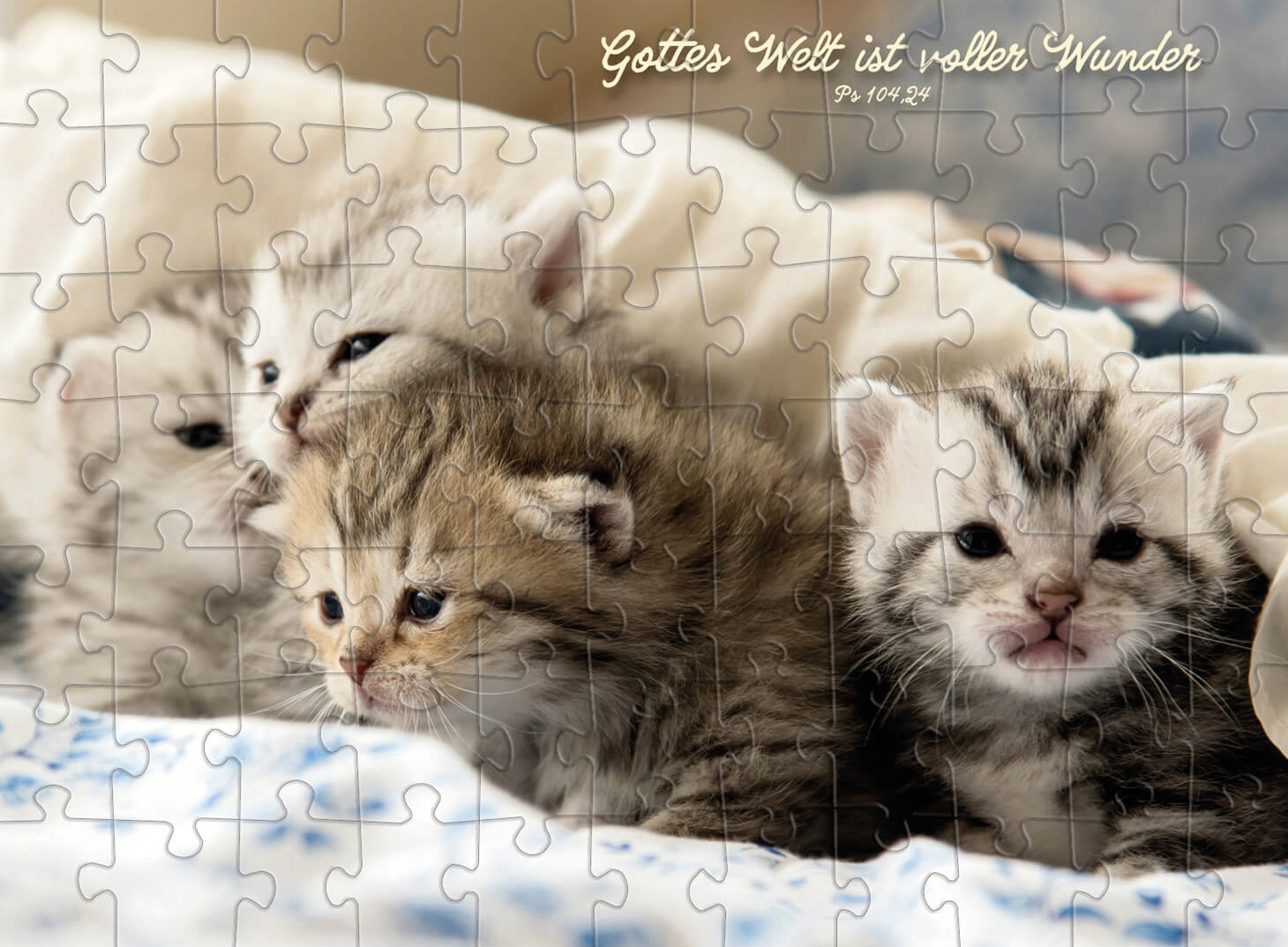 Puzzle-Cup - Katzenmotiv