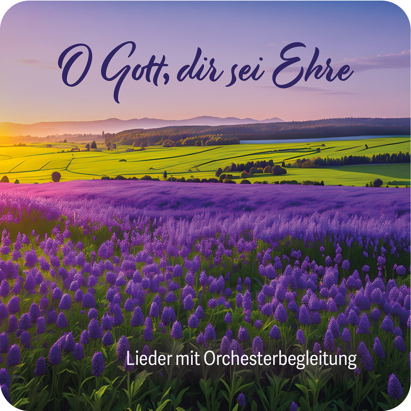 DOWNLOAD: O Gott, dir sei Ehre
