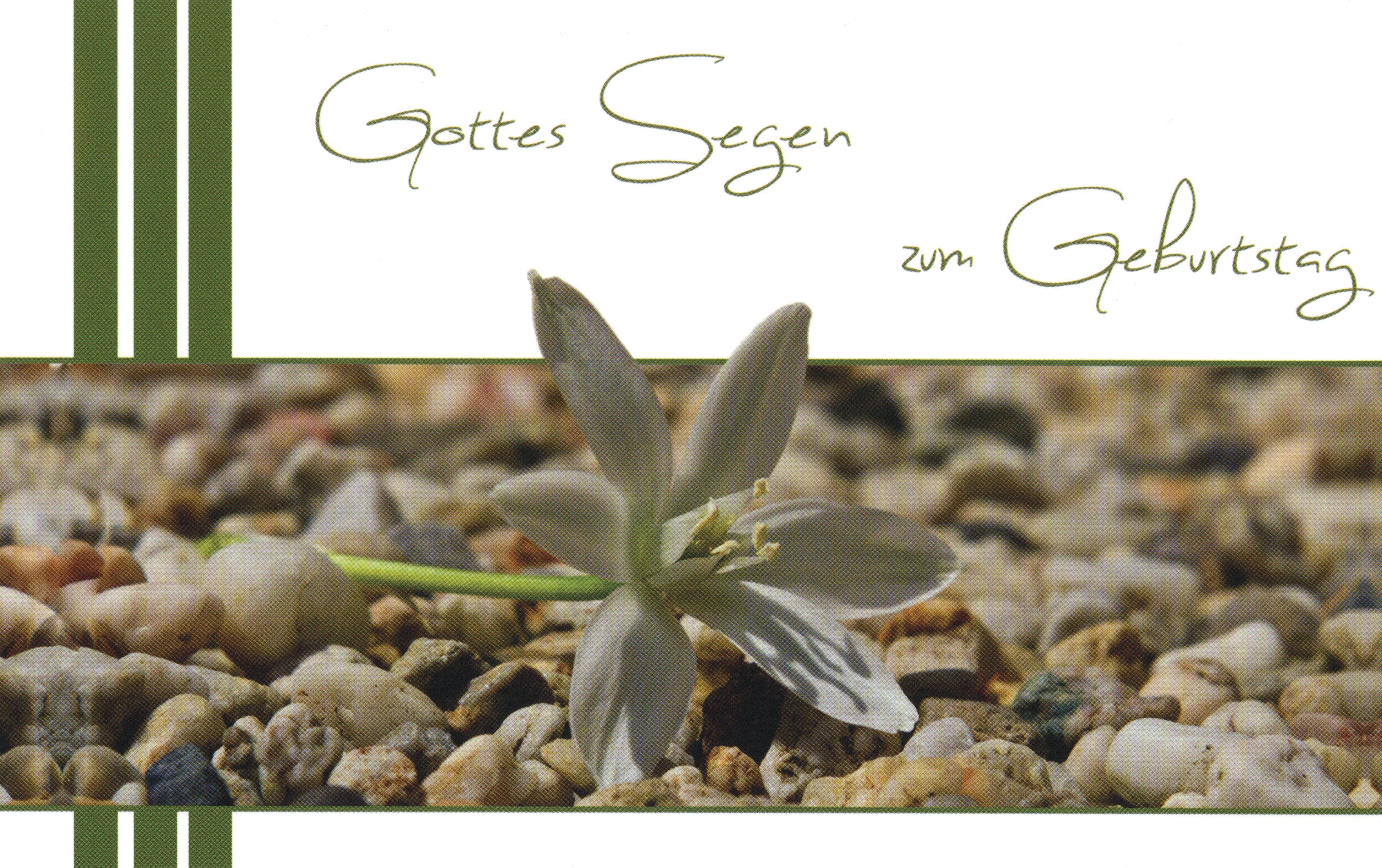 Faltkarte "Gottes Segen zum Geburtstag" grün