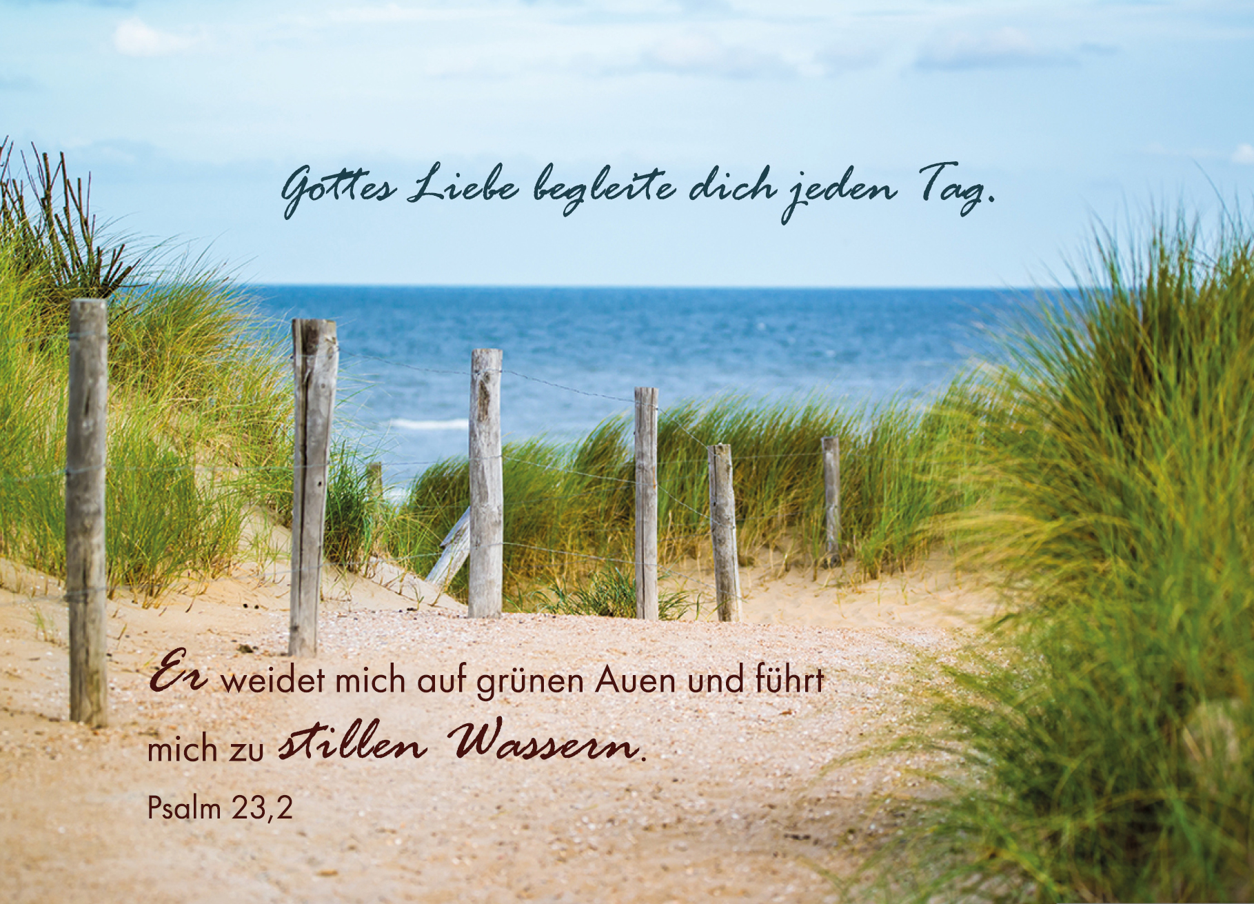 Postkarte – Dünen