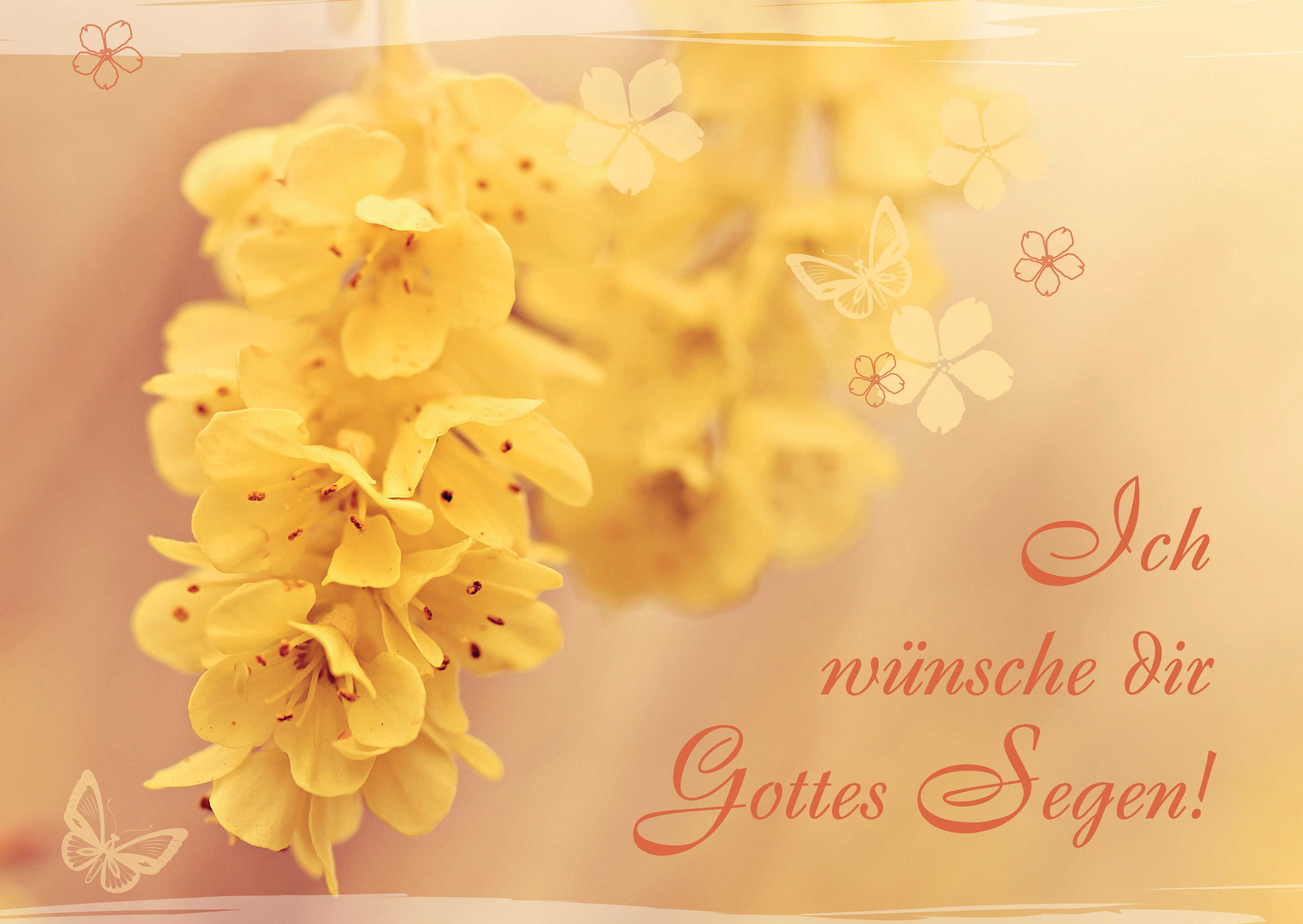 Postkarte - Gelbe Blume