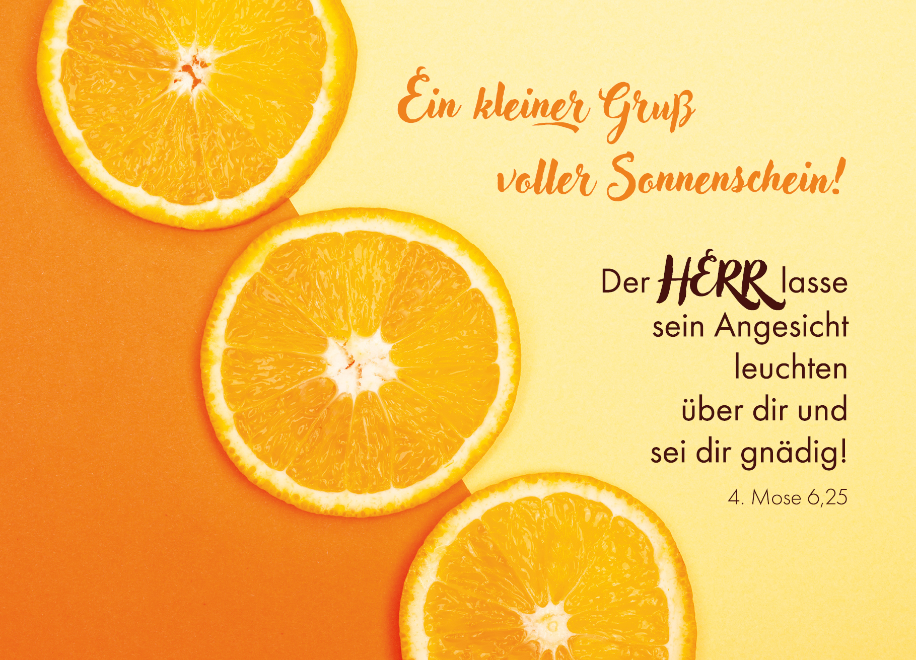 Postkarte – Orangen