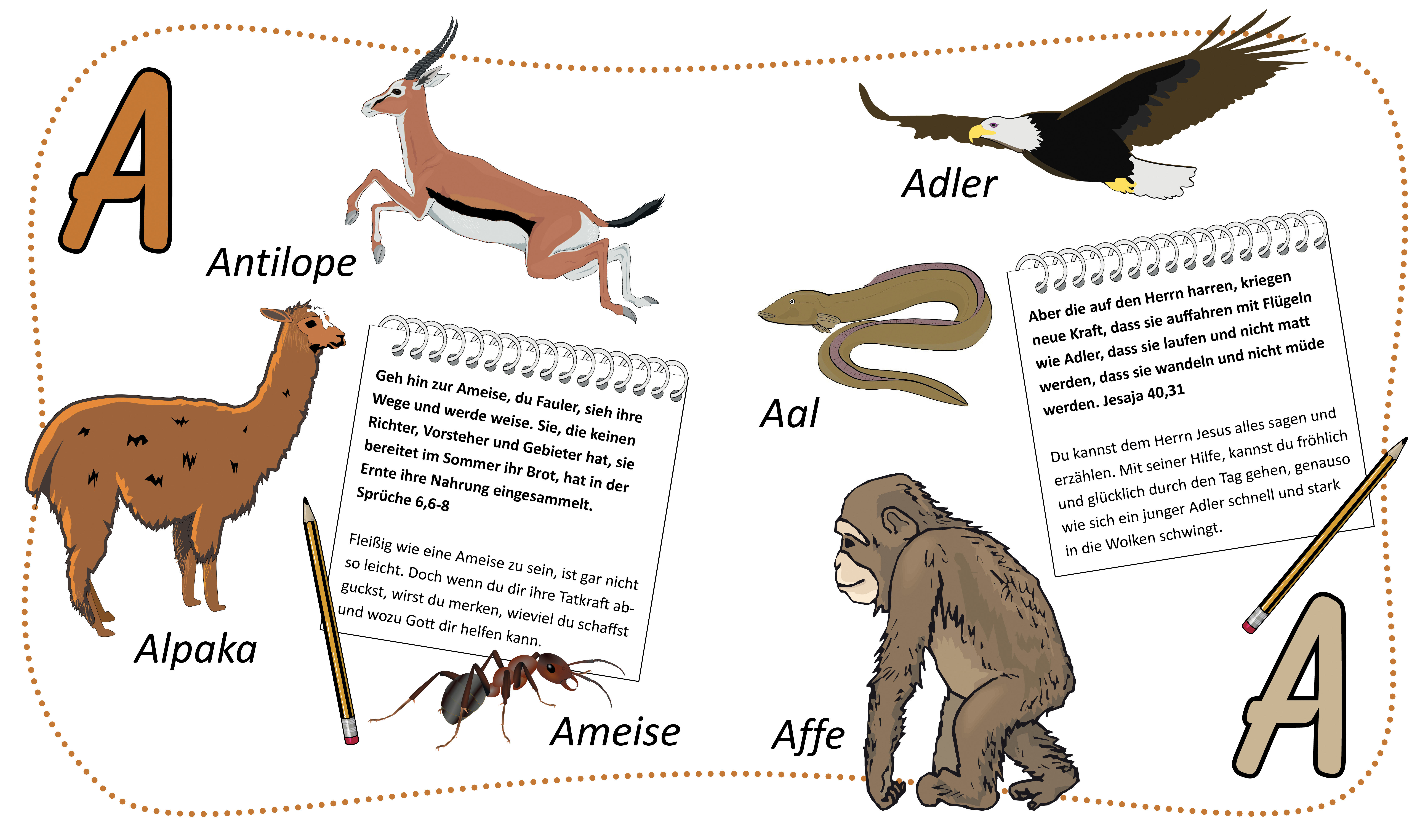 Tier-ABC_4-5 Pappbuch - ABC