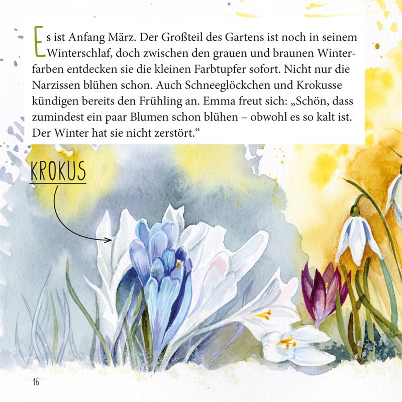 Die Narzisse (Heft 5)