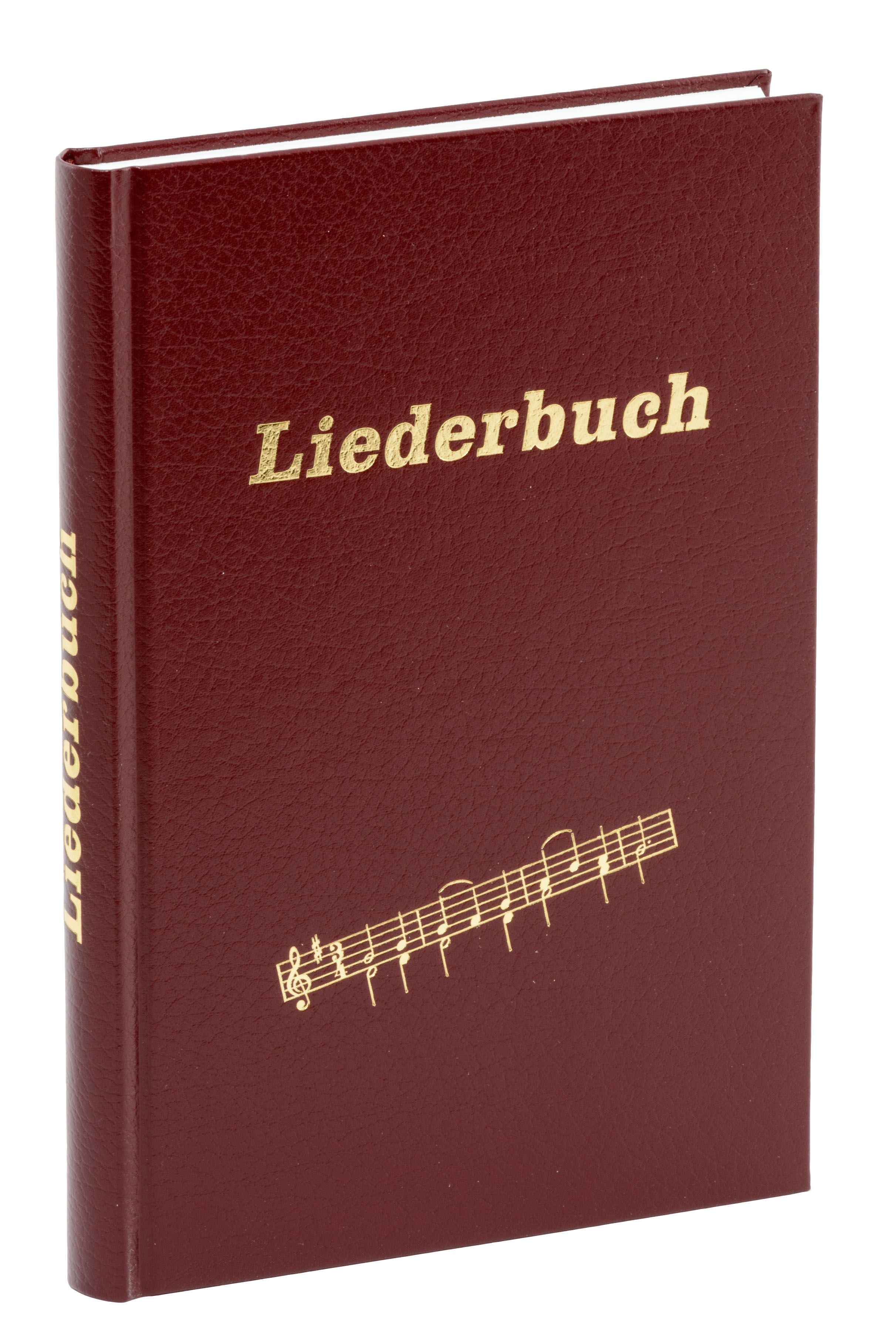 Liederbuch - Großdruckausgabe