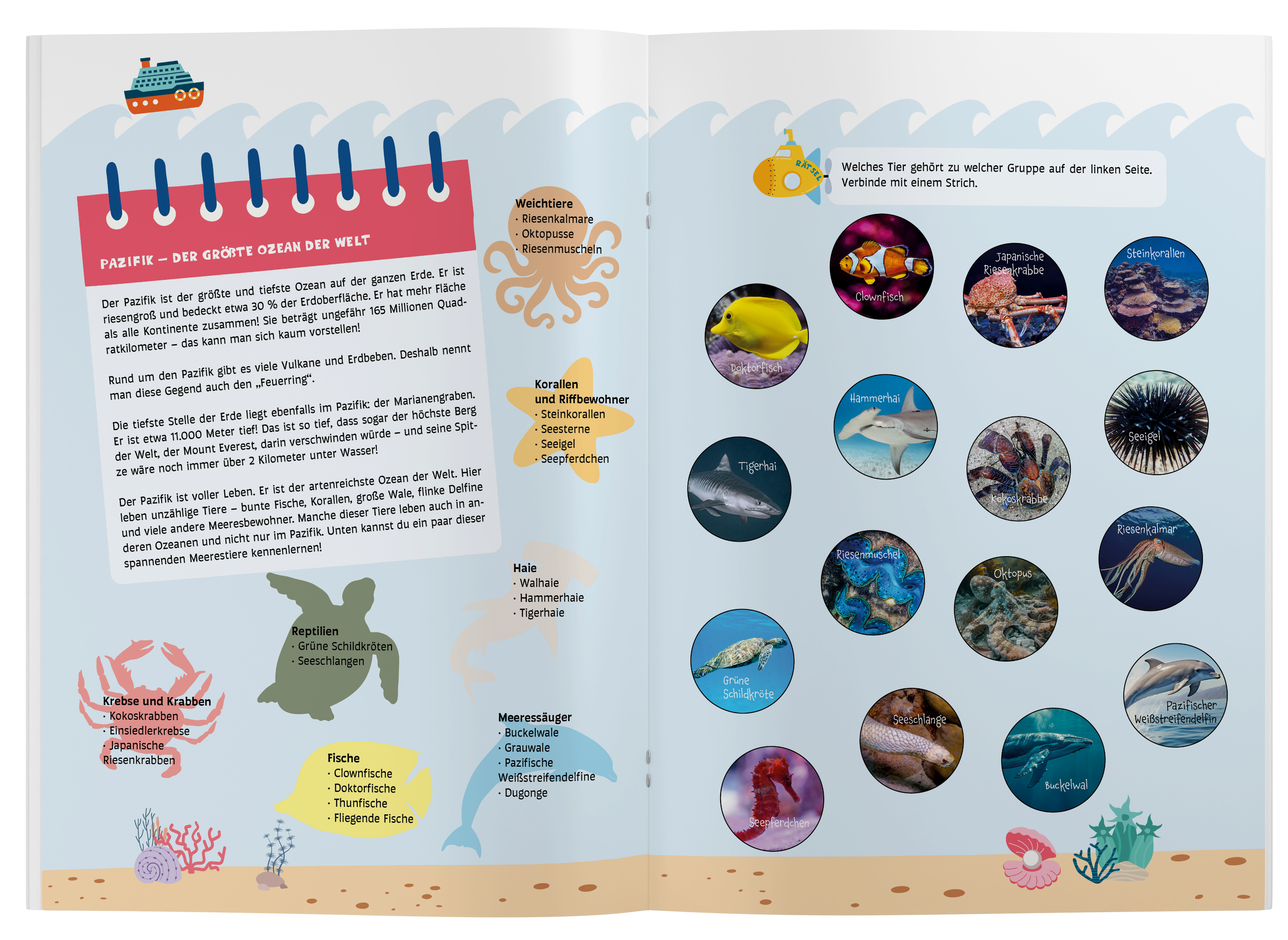 Entdeckerheft - Entdecke die Wasserwelt