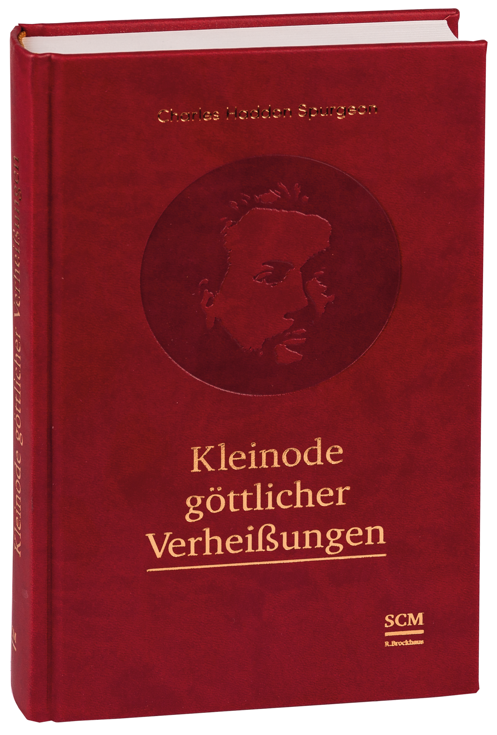 Kleinode göttlicher Verheißungen - Großdruck