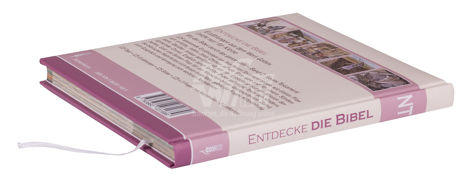 Entdecke die Bibel - Neues Testament (Band 2)