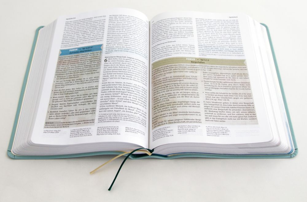 Studienbibel - Sein Wort - meine Welt (Lederausgabe)