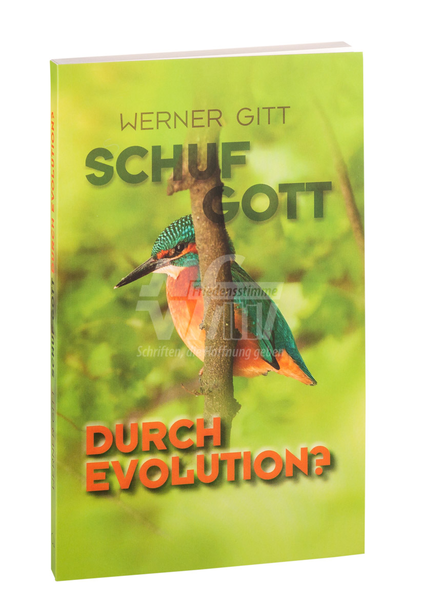 Schuf Gott durch Evolution?