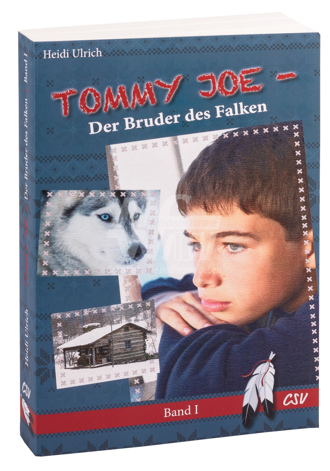 Tommy Joe - Der Bruder des Falken (Band 1)