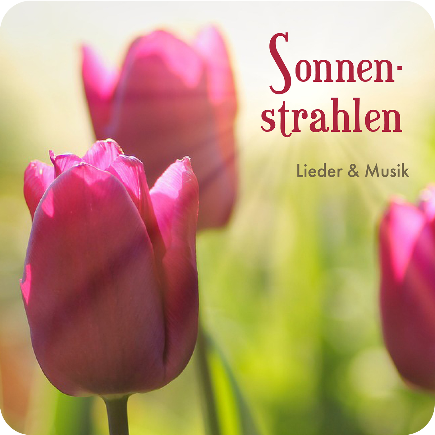 DOWNLOAD: Sonnenstrahlen DOWNLOAD: Sonnenstrahlen