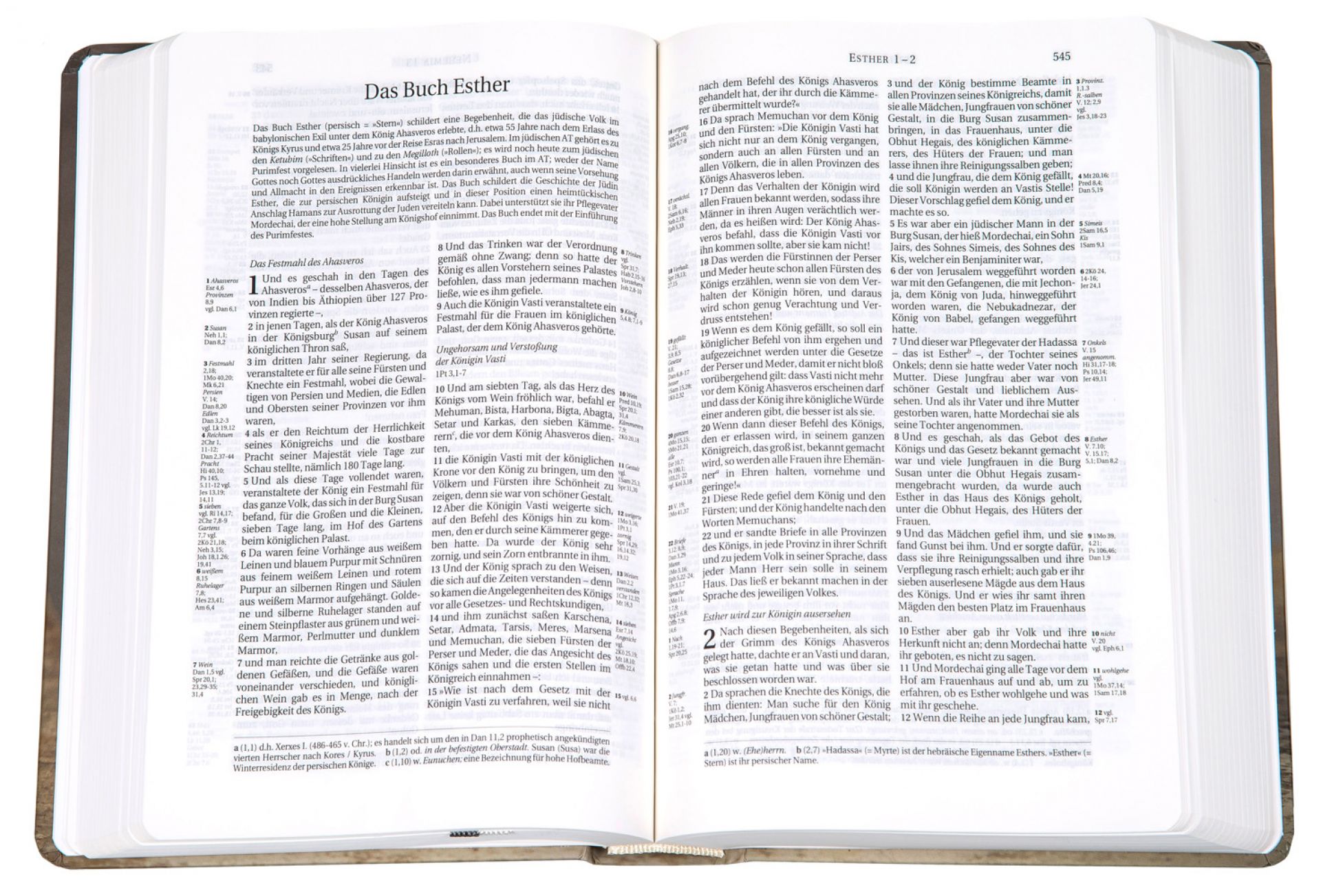 255062_3_ Schlachter 2000 Taschenformat -Hardcover "Tulpen"