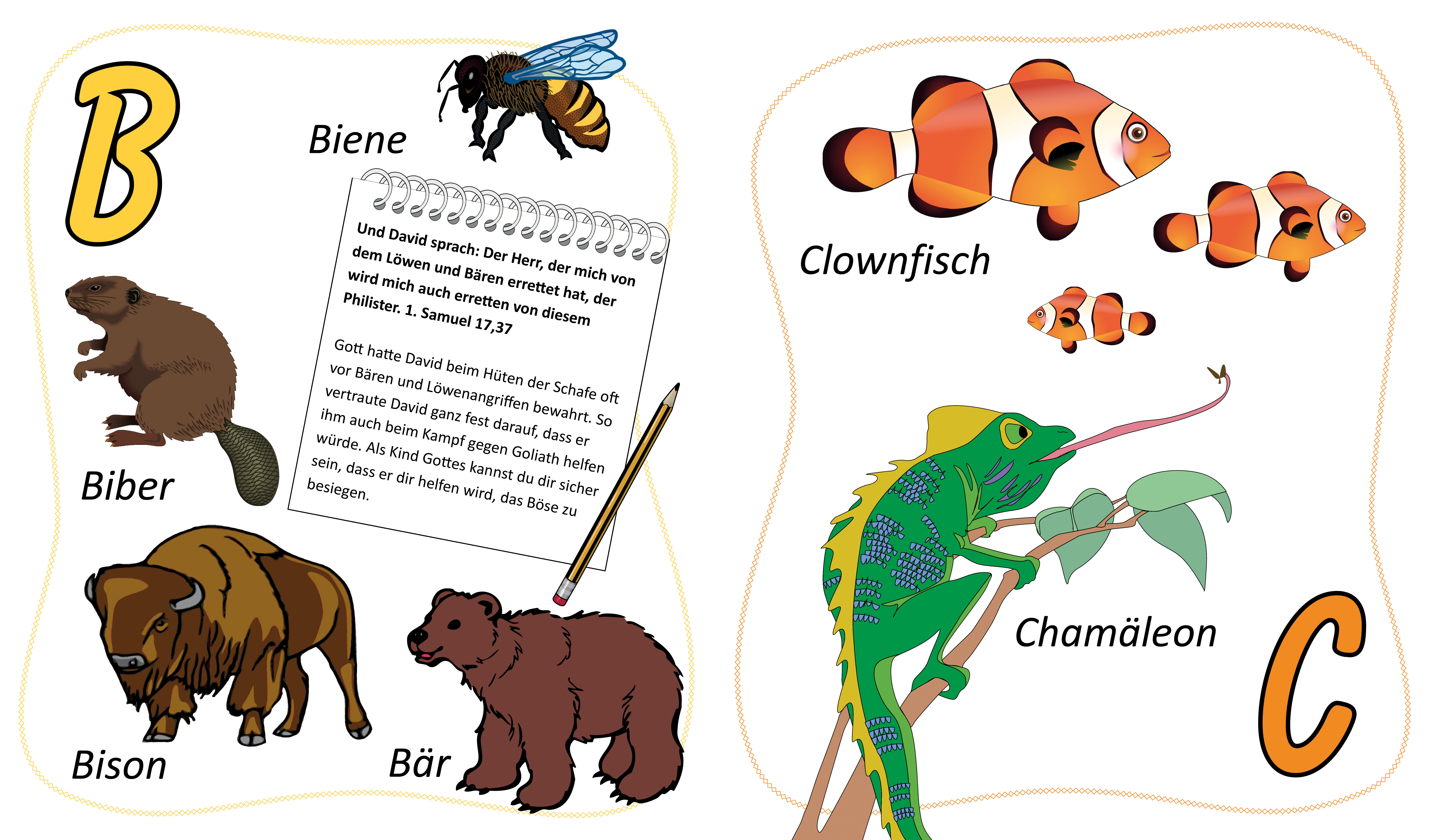 Tier-ABC_4-52 Pappbuch - ABC