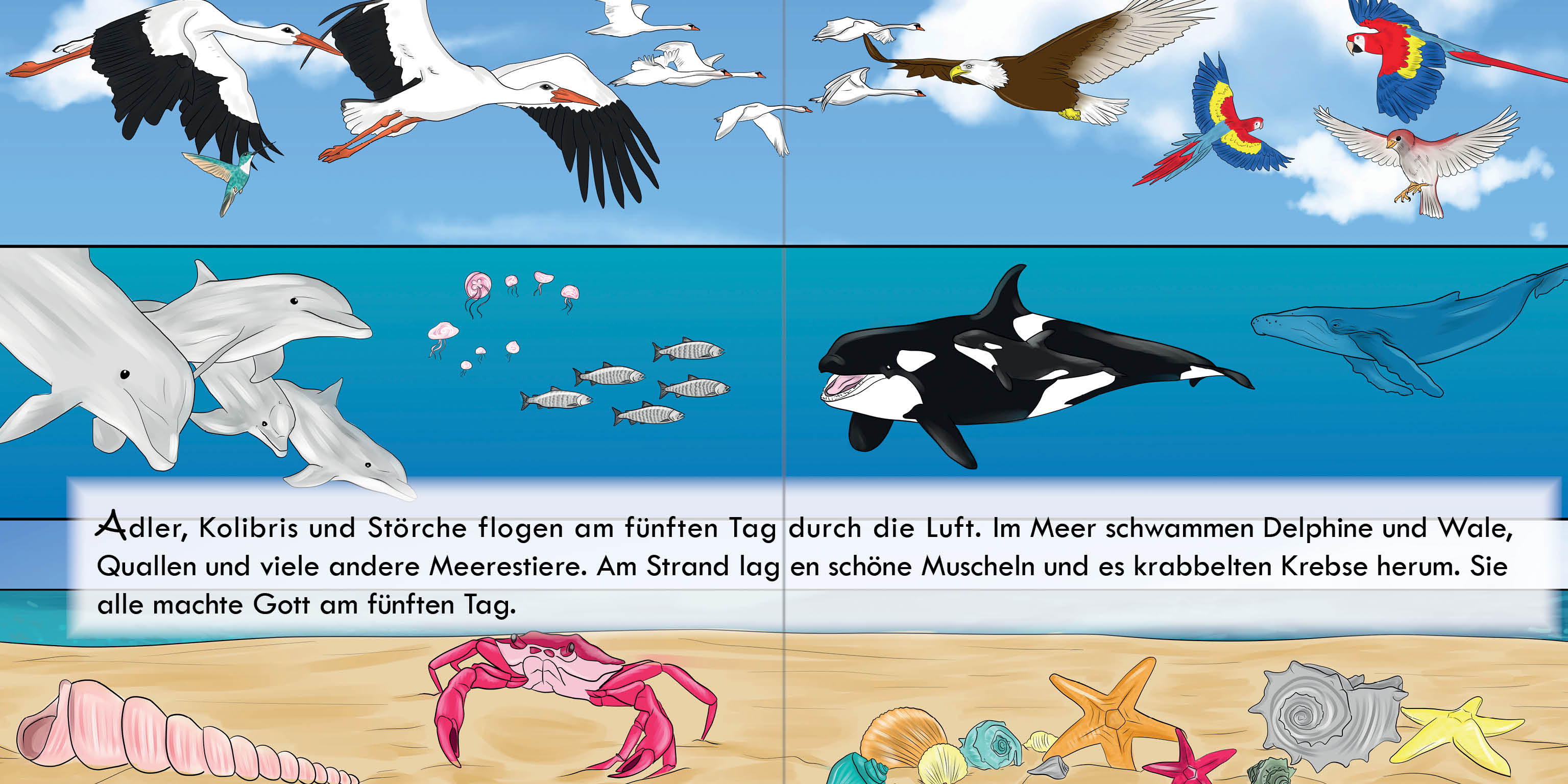 Pappbuch - Wie fing alles an?