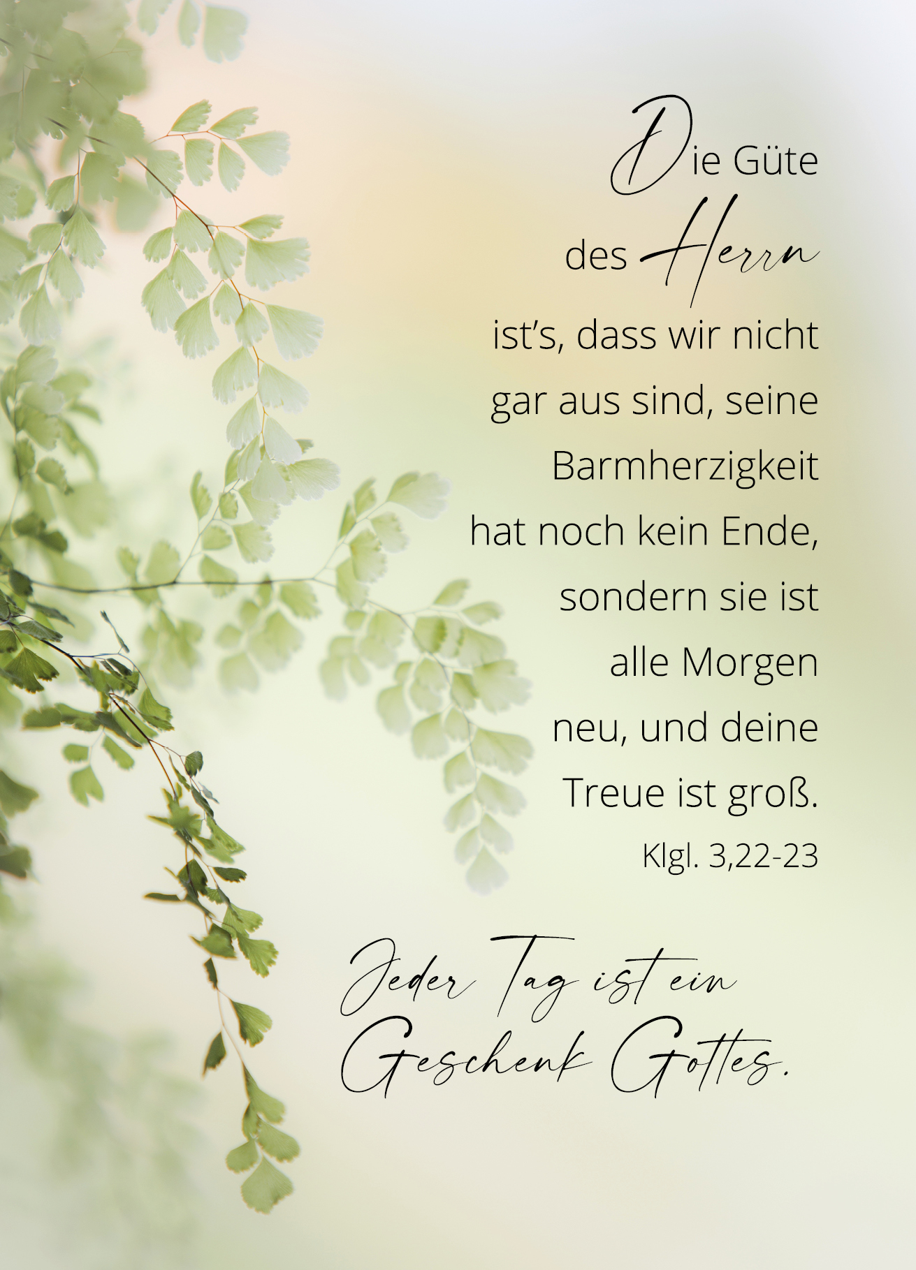 Postkarte – Pflanze